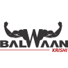 Balwaan